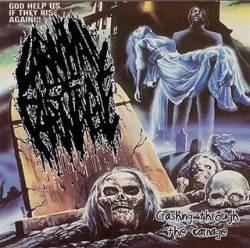 Carnival Of Carnage : Crashing Through The Carnage